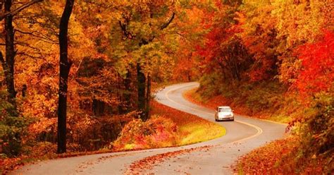 Americas Best Fall Color Drives