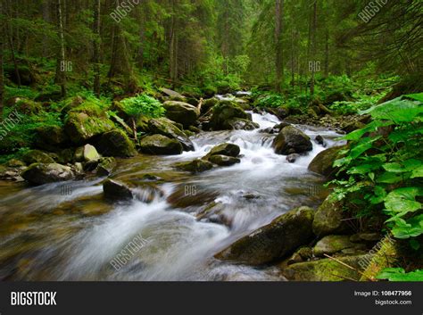 Mountain River Flowing Image And Photo Free Trial Bigstock