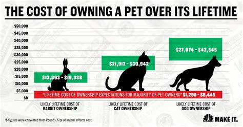 There are quite a lot of additional costs when it comes to owning a cat. How much does it cost to own a dog: 7 times more than you ...