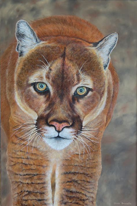 Cougar Painting By Christine Brunette Fine Art America