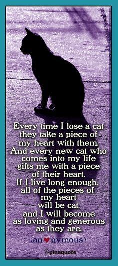 Image Result For Cat Heaven Poem Crazy Cats Cats Cat Quotes