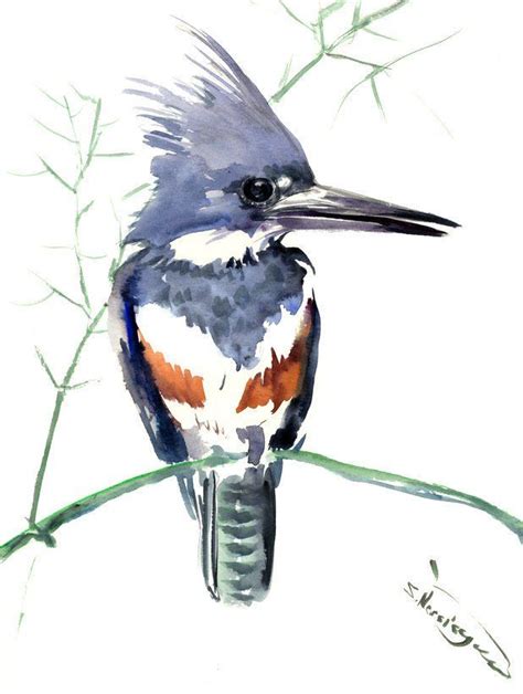 Kingfisher Bird Artwork Belted Kingfisher Original Painting Watercolor