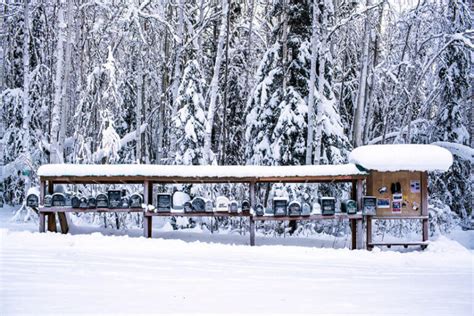 A Photo Essay Winter In Fairbanks Alaska Wander The Map