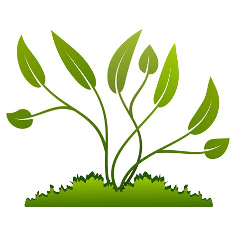 Plant Clipart Growing Plant Clip Art Free Transparent Png Clip