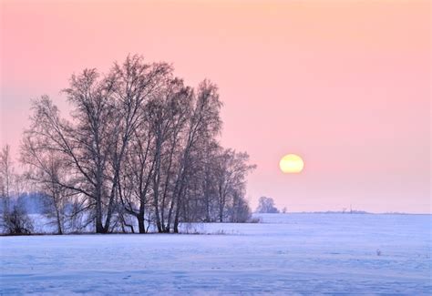 Premium Photo Sunset Over A Winter Field Snow Drifts Bare Trees