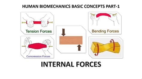 Human Biomechanics Basic Concepts Part 1 Kinetics And Clinical