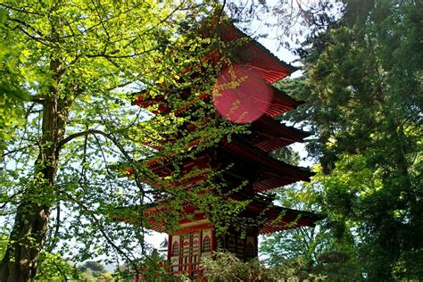 Japanese tea garden, san francisco history: 金山苑 Japanese Tea Garden - San Francisco | Tea garden ...