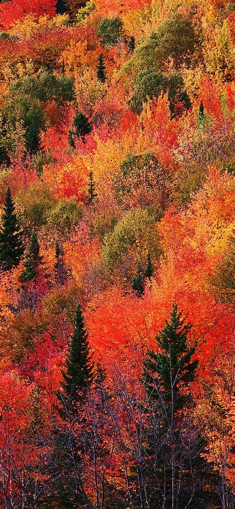 Best Autumn Wallpapers Typikalempire