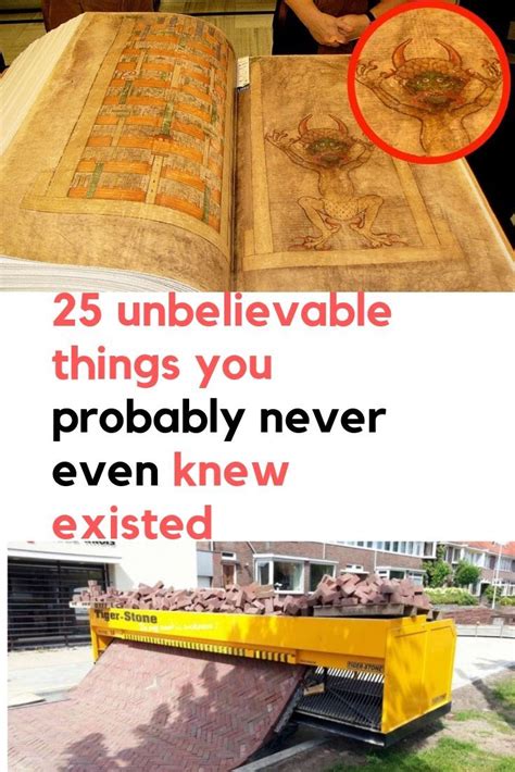 25 Unbelievable Things You Probably Never Even Knew Existed Fun Facts