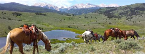 Montana Horseback Riding At Covered Wagon Ranch