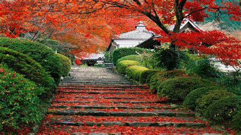 Japanese Fall Garden Steps Hd Japanese Wallpapers Hd Wallpapers Id