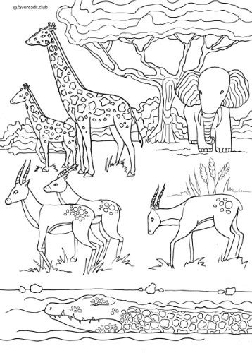 Coloring Safari Pages Print Sketch Coloring Page