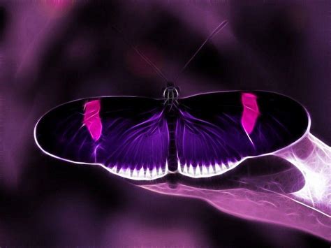 Nice Purple Wallpapers Wallpaper Cave