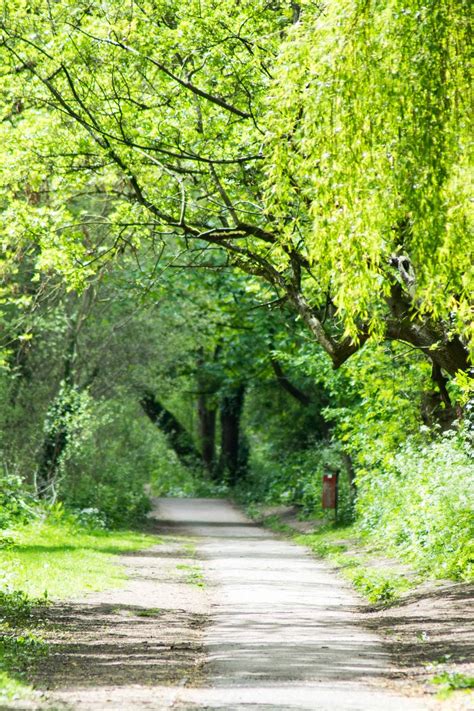The Best Walks In London Right Now Cn Traveller