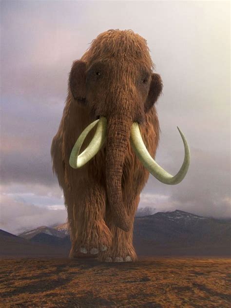 Woolly Mammoth Ice Age
