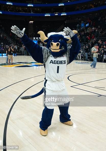 The Utah State Mascot Big Blue During A Game Between The Weber State