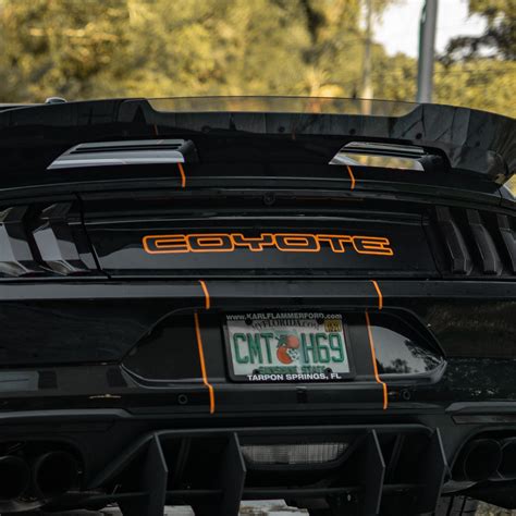 Mustang GT 2 Tone coyote Decklid Decal - Etsy Australia
