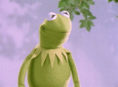 Equasis kermit the frog plush doll, the muppets movie soft stuffed plush toy, 16 inches (green). Kermit The Frog Meme Falling Off Building Gif