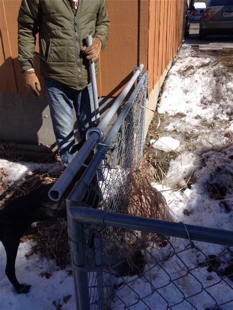 Cats can't get their claws into the rolling plastic nor fit between the poles. DIY dog-proof fence topper / coyote roller | Dog proof ...