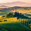 11 Must-Visit Tuscany Wineries - Savored Journeys