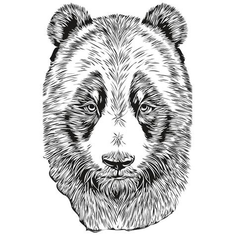 Premium Vector Vintage Engrave Isolated Panda Illustration Cut Ink