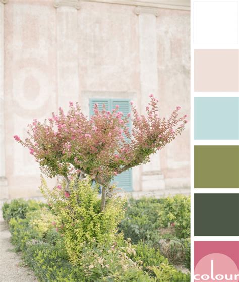 A Pink And Green Color Palette With A Touch Of Aqua Blue Concepts And