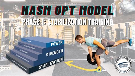 Nasm Opt Model Phase 1 Stabilization Training Explained Youtube