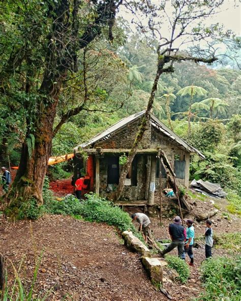 17 Obyek Wisata Di Taman Nasional Gunung Gede Pangrango Triptofun