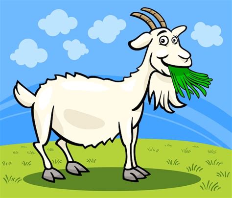 Premium Vector Goat Farm Animal Cartoon Illustration