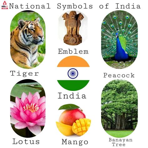 National Symbols of India with Names List रषटरय चनह