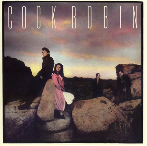 COCK ROBIN Cock Robin Expanded Edition Amazon Com Music