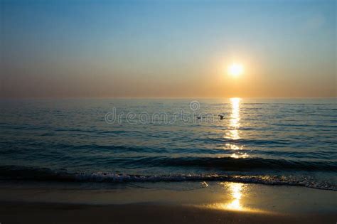 Sun Above Sea Horizon Stock Image Image Of Beach Dawn 23643583