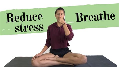 Yoga Breathing For Beginners Exercises For Anxiety 🧘🏾‍♀️vata Reducing Ayurvedic Yoga Therapy 💚