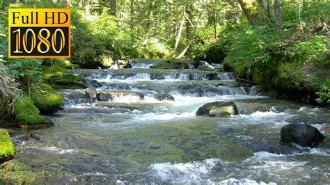 Mountain Stream Background Relaxing Nature Scenery And Sounds 1080