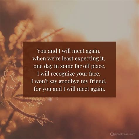 See You Someday 65 Until We Meet Again Quotes