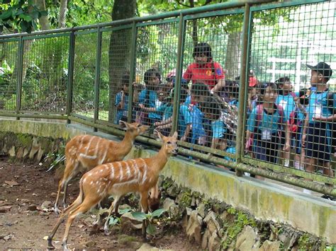 Yayasan Bina Mandiri Indonesia Kunjungan Kebun Binatang Ragunan Jakarta