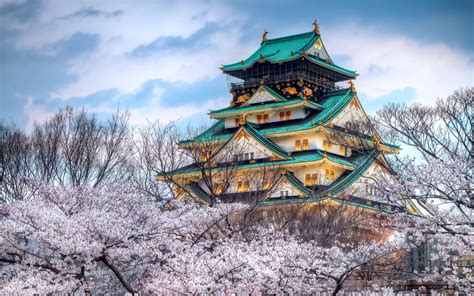 Free Download Hd Wallpaper The Temple Of The Cherry Blossom Season
