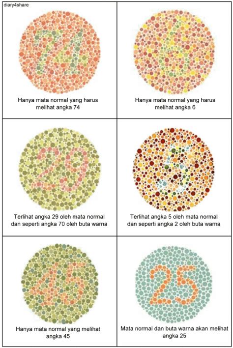 Kurniansyah's Blog: Buta Warna (Color Blind)