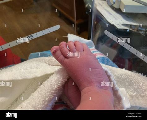 Newborn Baby Foot With Baby Still In Incubator Stock Photo Alamy