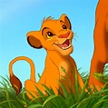 The Best Disney animations of all time... | Disney lion king, Disney ...