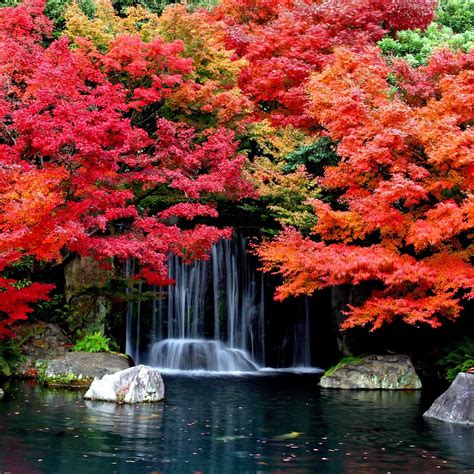 Cool Autumn Waterfall Ipad Air Wallpapers Free Download
