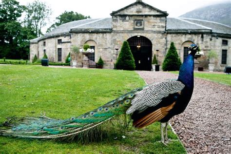 At Prestonfield‘s Opulent Georgian Stables The Comprehensive Packages