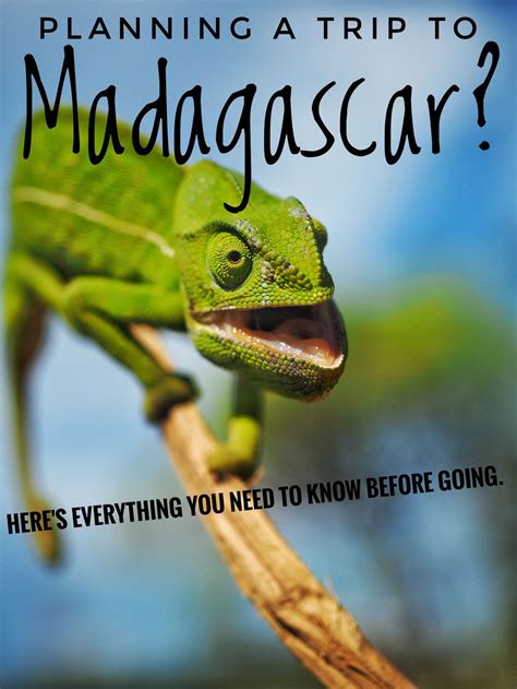 Madagascar Travel Guide Everything You Need To Know Before You Visit