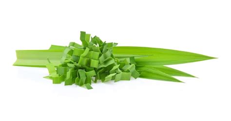 Premium Photo Pandan Leaves Isolated