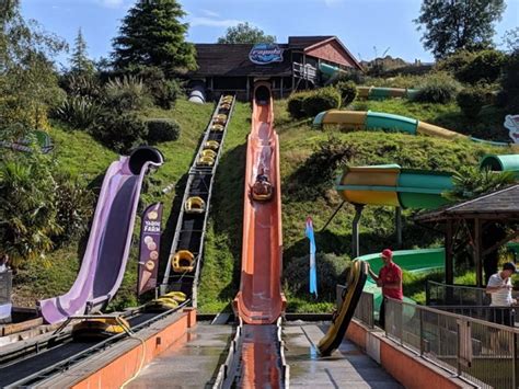 I do not live near a big city, so i search on the internet or by correspondence.… Woodlands Theme Park | Visit Dartmouth
