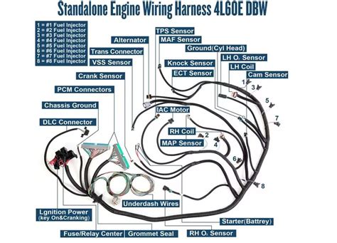 03 07 Vortec 4L60E Standalone Swap Wiring Harness Drive By Wire DBW LS1