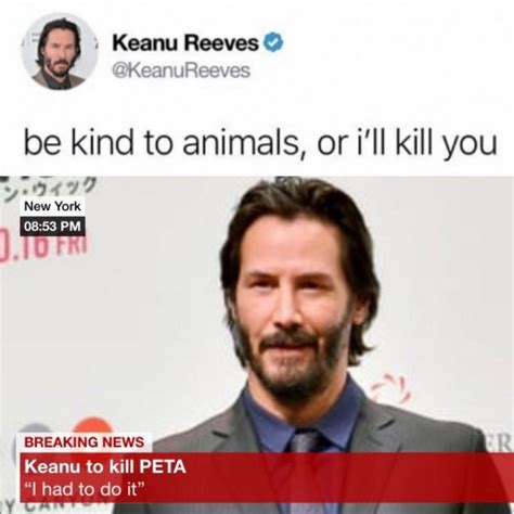 51 Memes Keanu Reeves Que Son Simplemente Impresionantes Kathryn Coltrin