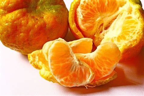 Beneficios De La Mandarina Periódico El Campesino La Voz Del Campo