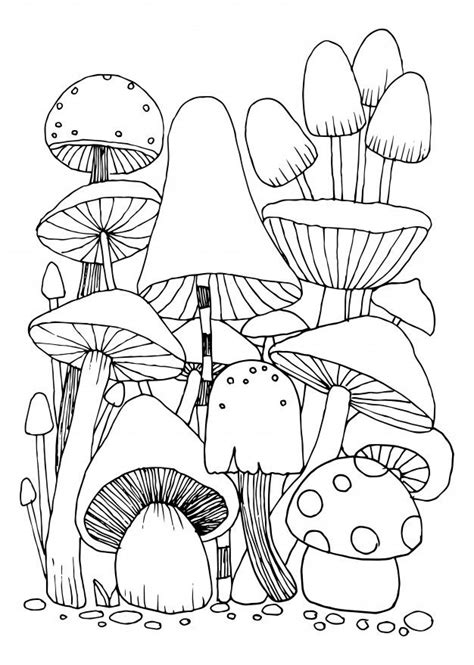 premium vector mushroom doodles for coloring book isolated