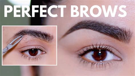 How To Groom Shape And Maintain Eyebrows At Home Beginner Friendly
